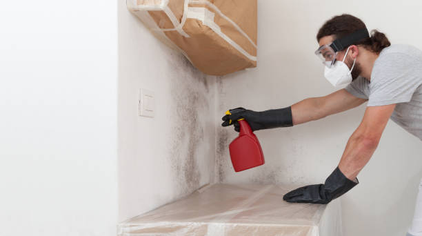 Professional Attic Mold Remediation technician working in Margarettsville, NC